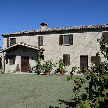 Cascinale La Mimosa Cupramontana Exterior foto