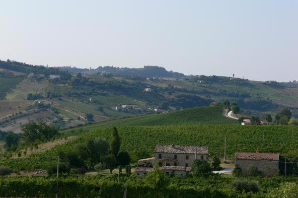 Cascinale La Mimosa Cupramontana Exterior foto