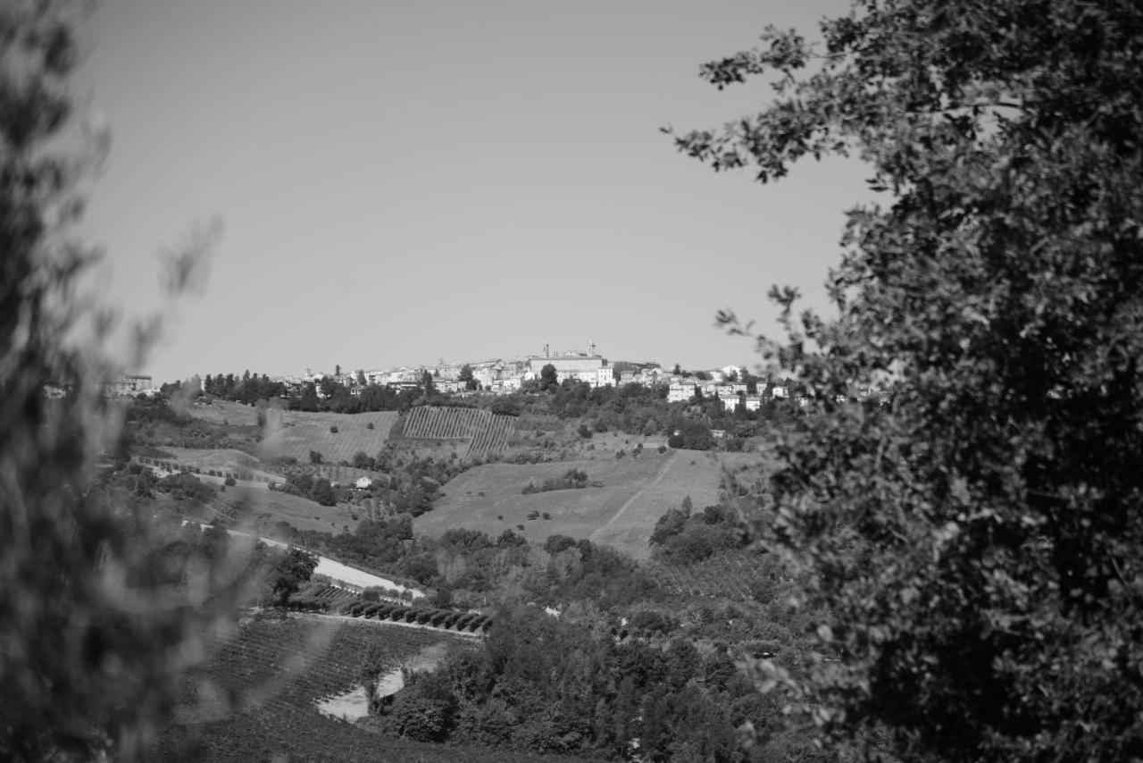Cascinale La Mimosa Cupramontana Exterior foto